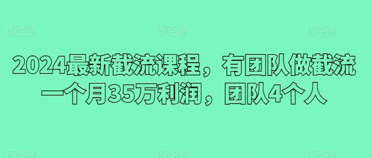 2024最新截流课程，有团队做截流一个月35万利润，团队4个人-网创资源