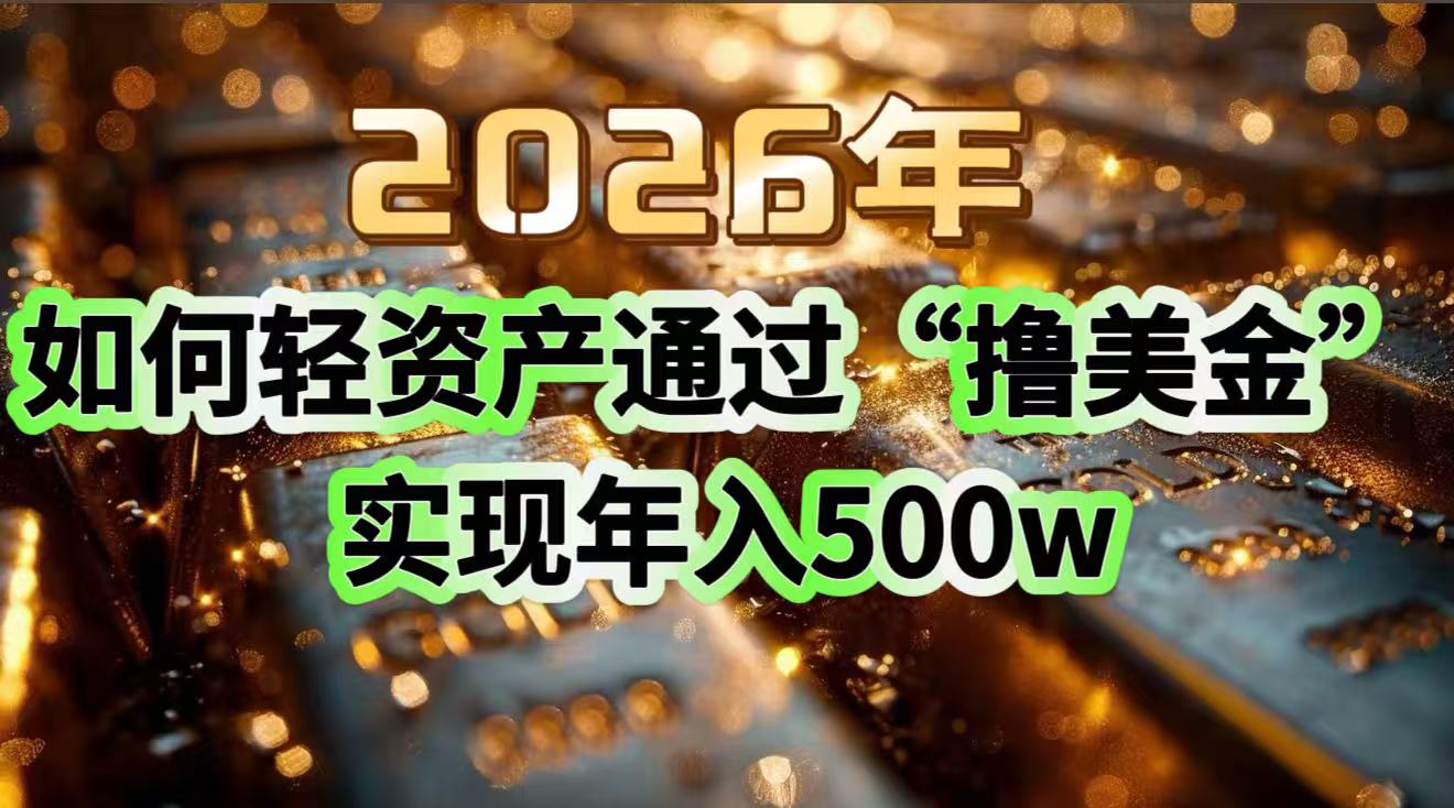 2026年如何轻资产通过“撸美金”实现年入500w-网创资源