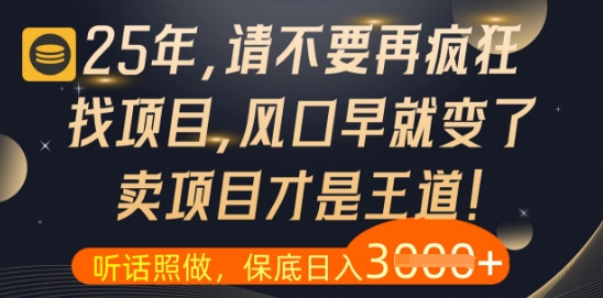 什么？25年你还在疯狂找项目做，醒醒吧，看完这些你全都懂了【揭秘】-网创资源
