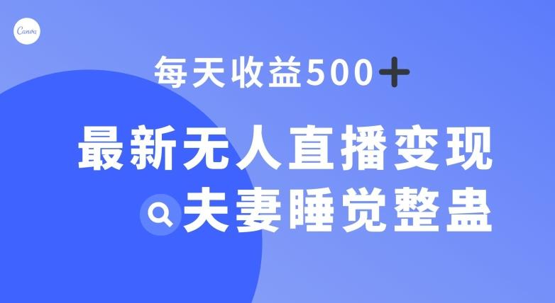 最新无人直播变现，夫妻睡觉整蛊，每天躺赚500+【揭秘】-网创资源