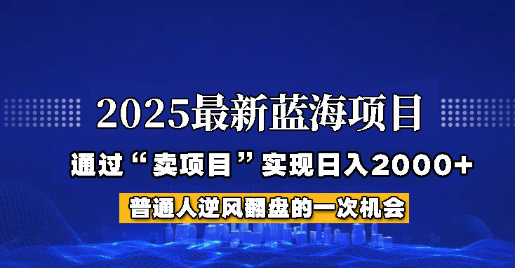2025年蓝海项目，如何通过“网创项目”日入2000+-网创资源