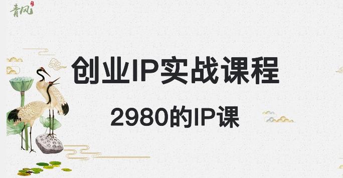 外边卖2980的创业IP课程，做私域月入5w+-网创资源