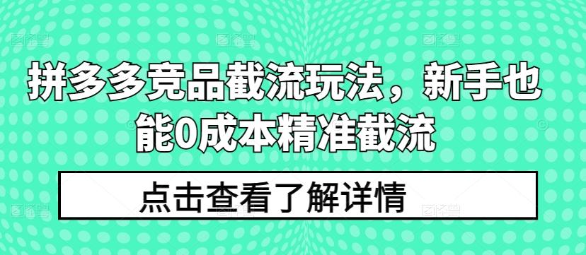 拼多多竞品截流玩法，新手也能0成本精准截流-网创资源