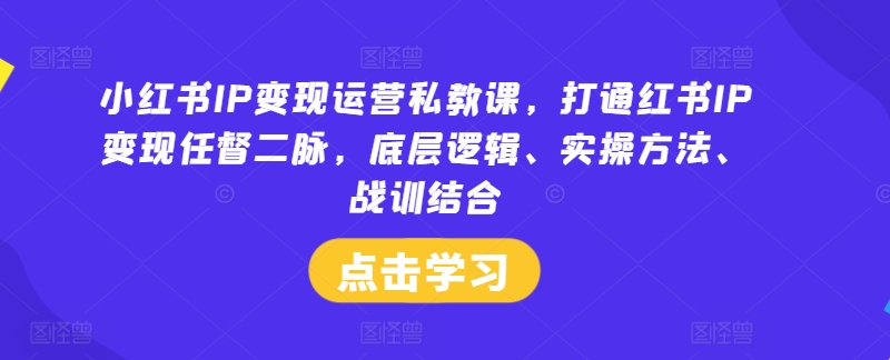 小红书IP变现运营私教课，打通红书IP变现任督二脉，底层逻辑、实操方法、战训结合-网创资源