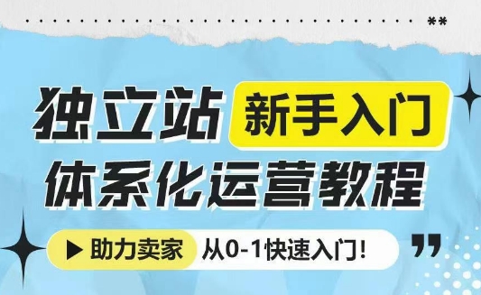 独立站新手入门体系化运营教程，助力独立站卖家从0-1快速入门!-网创资源