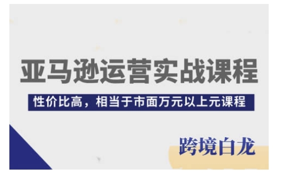 亚马逊运营实战课程，亚马逊从入门到精通，性价比高，相当于市面万元以上元课程-网创资源