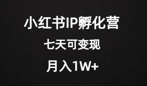 价值2000+的小红书IP孵化营项目，超级大蓝海，七天即可开始变现，稳定月入1W+-网创资源