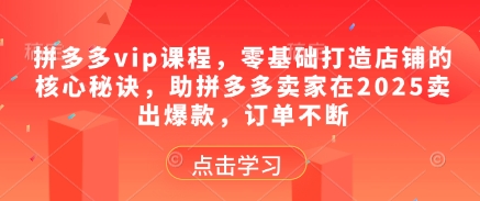 拼多多vip课程，零基础打造店铺的核心秘诀，助拼多多卖家在2025卖出爆款，订单不断-网创资源