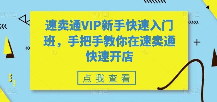 速卖通VIP新手快速入门班，手把手教你在速卖通快速开店-网创资源