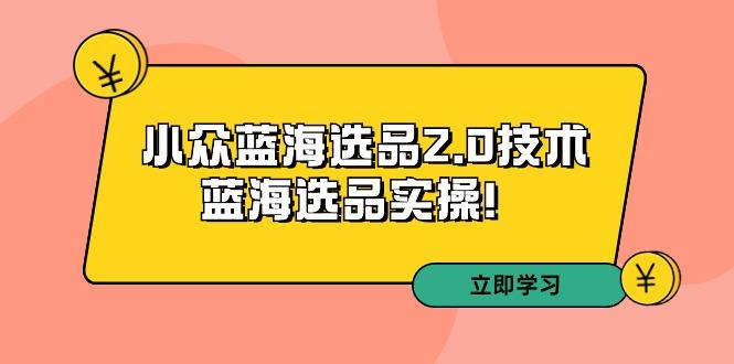 拼多多培训第33期：小众蓝海选品2.0技术-蓝海选品实操！-网创资源