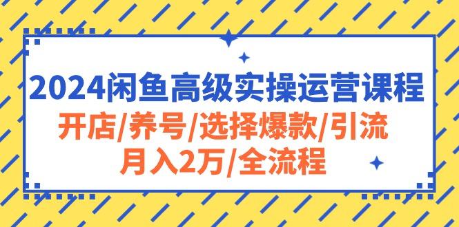 2024闲鱼高级实操运营课程：开店/养号/选择爆款/引流/月入2万/全流程-网创资源