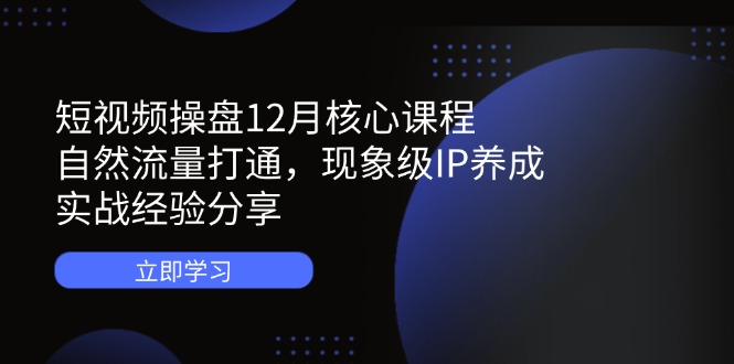 短视频操盘12月核心课程：自然流量打通，现象级IP养成，实战经验分享-网创资源