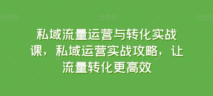 私域流量运营与转化实战课，私域运营实战攻略，让流量转化更高效-网创资源