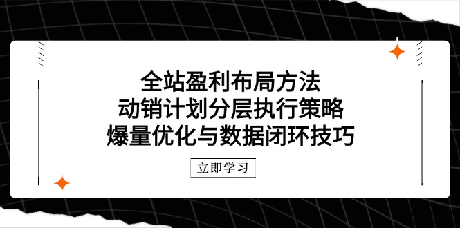 全站盈利布局方法：动销计划分层执行策略，爆量优化与数据闭环技巧-网创资源