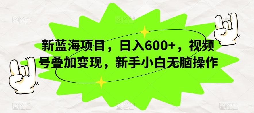 新蓝海项目，日入600+，视频号叠加变现，新手小白无脑操作【揭秘】-网创资源