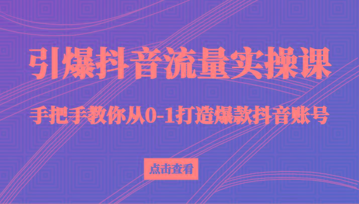引爆抖音流量实操课，手把手教你从0-1打造爆款抖音账号(27节课)-网创资源
