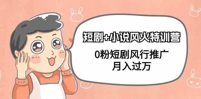 小说+短剧风火特训营，0粉短剧小说风行推广，实现月入过万-网创资源