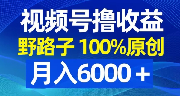 视频号野路子撸收益，100%原创，条条爆款，月入6000＋【揭秘】-网创资源