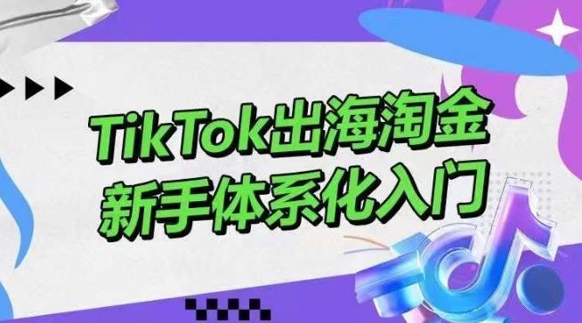 TikTok出海淘金，新手体系化入门，零基础快速入门，掌握短视频、直播带货等引流到变现的知识-网创资源
