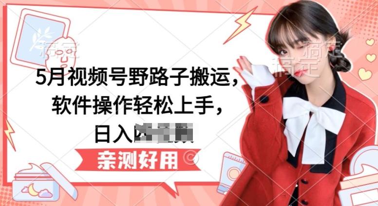 5月视频号野路子搬运，软件操作轻松上手，日入三位数【揭秘】-网创资源
