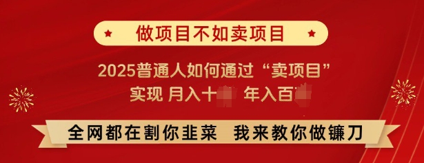 必看，做项目不如卖项目，2025普通人如何通过“卖项目”实现月入十个，年入百个-网创资源