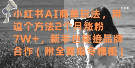 小红书AI商单玩法，用这个方法2个月涨粉7W+，新手也能接品牌合作(附全套指令模板)-网创资源