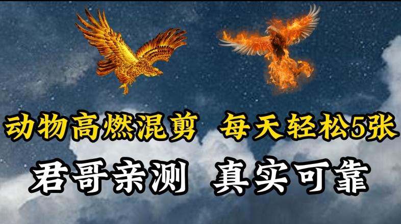 动物超燃混剪，每天轻松5张，剪辑简单大家爱看【揭秘】-网创资源