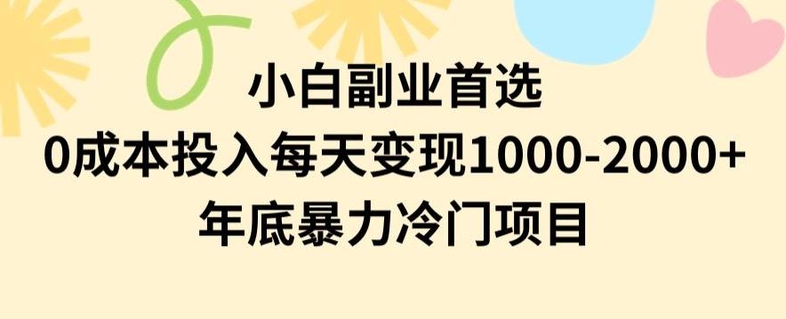 小白副业首选，0成本投入，每天变现1000-2000年底暴力冷门项目【揭秘】-网创资源