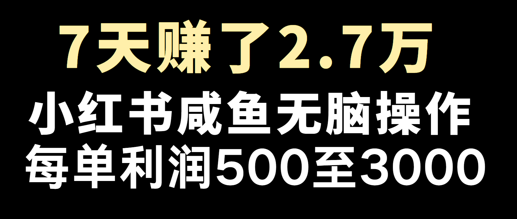 全网首发，7天赚了2.6万，2025利润超级高！-网创资源