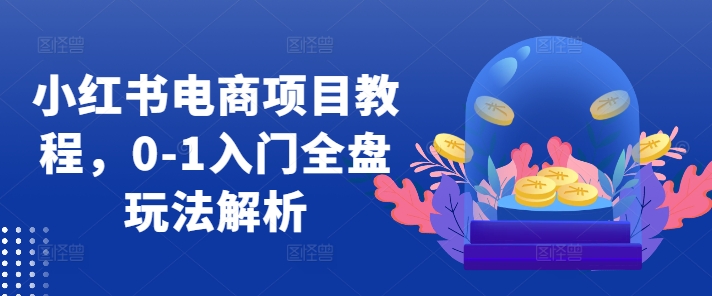 小红书电商项目教程，0-1入门全盘玩法解析-网创资源