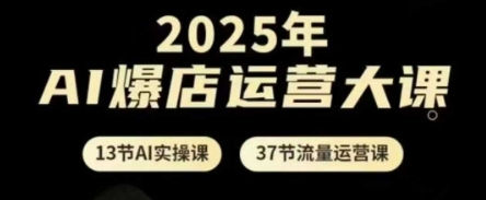 2025年AI爆店运营大课，13节AI实操课+37节流量运营课-网创资源