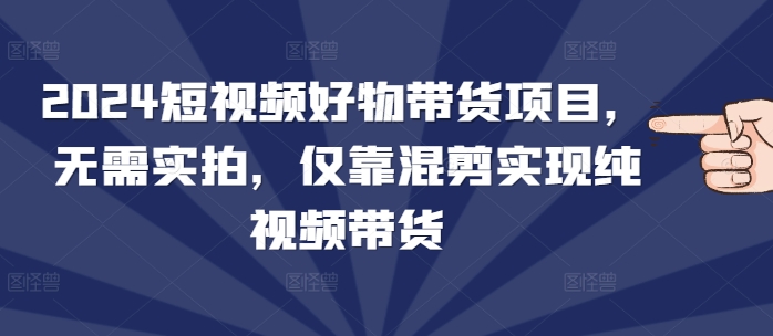 2024短视频好物带货项目，无需实拍，仅靠混剪实现纯视频带货-网创资源