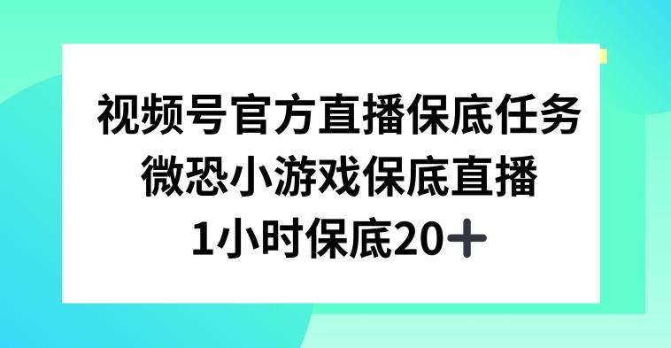视频号直播任务，微恐小游戏，1小时20+【揭秘】-网创资源