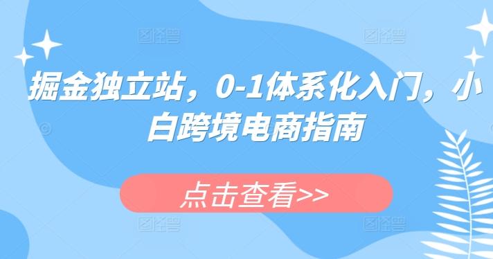 掘金独立站，0-1体系化入门，小白跨境电商指南-网创资源