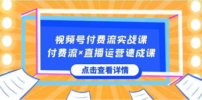 视频号付费流实战课，付费流×直播运营速成课，让你快速掌握视频号核心运营技能-网创资源