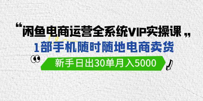 (9547期)闲鱼电商运营全系统VIP实战课，1部手机随时随地卖货，新手日出30单月入5000-网创资源