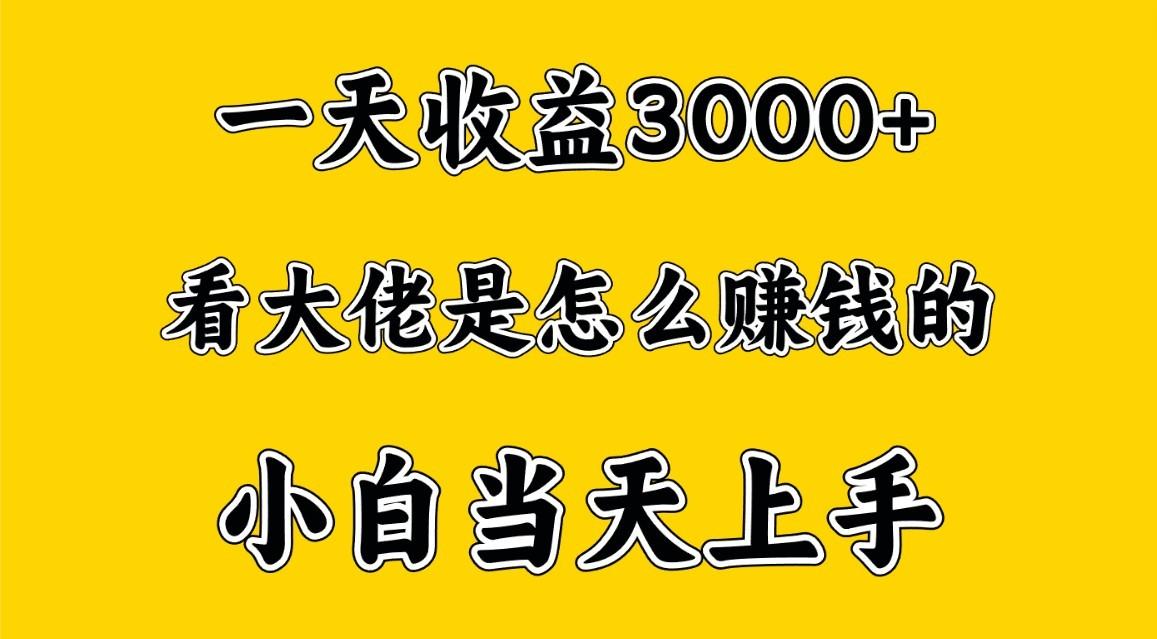 一天赚3000多，大佬是这样赚到钱的，小白当天上手，穷人翻身项目-网创资源