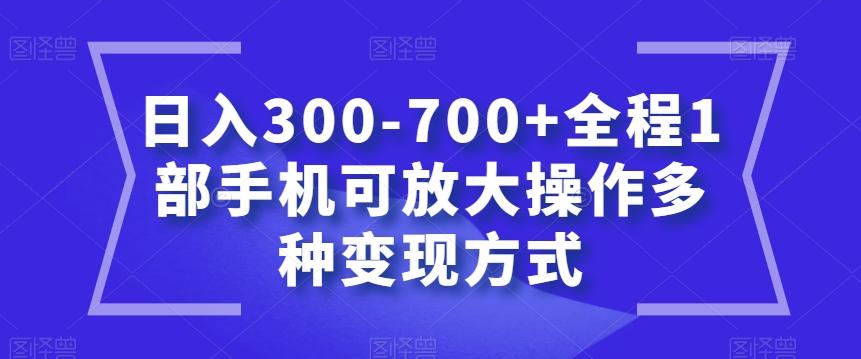 日入300-700+全程1部手机可放大操作多种变现方式【揭秘】-网创资源