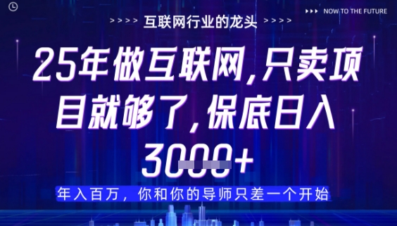 什么！25年你还在找项目做？风口早就变了，卖项目才是稳挣不赔【揭秘】-网创资源