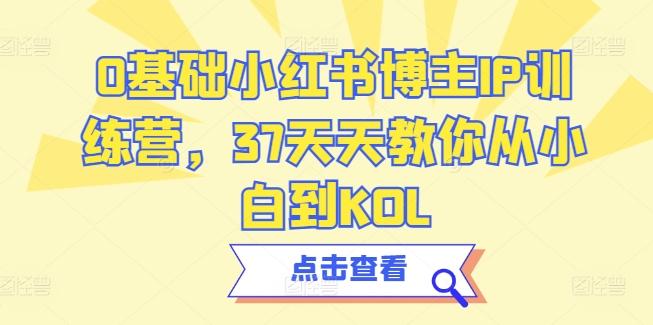 0基础小红书博主IP训练营，37天天教你从小白到KOL-网创资源