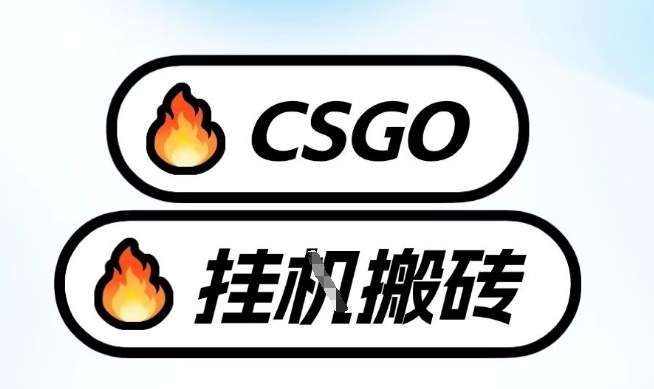 真全网独家CSGO挂G，最新玩法,单日捡漏1K+，不用电脑，不用打游戏【揭秘】-网创资源