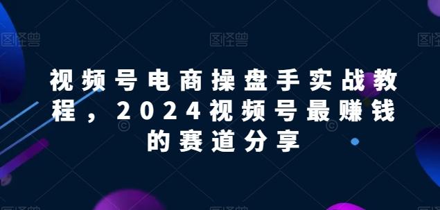 视频号电商实战教程，2024视频号最赚钱的赛道分享-网创资源