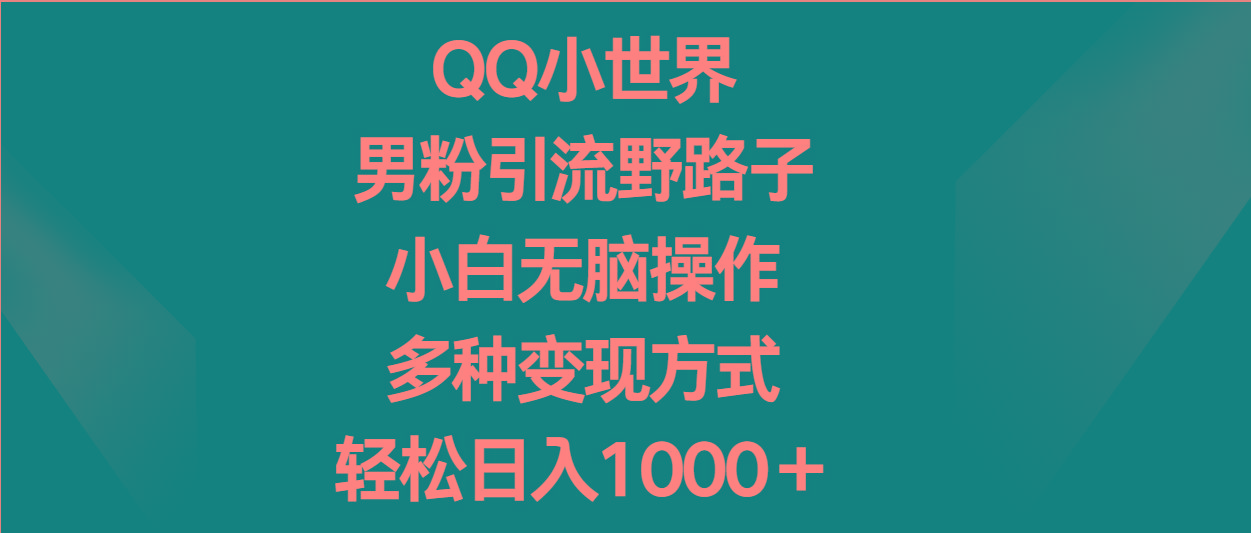 QQ小世界男粉引流野路子，小白无脑操作，多种变现方式轻松日入1000＋-网创资源