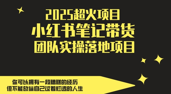 2025超火项目，副业最佳选择，小红书笔记带货团队实操落地项目，，轻松日入5张-网创资源