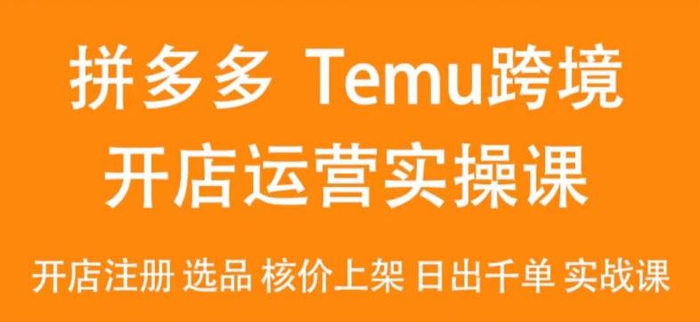 2024Temu最新玩法，Temu跨境开店运营实操课，开店注册/选品/核价上架/日出千单实战课-网创资源