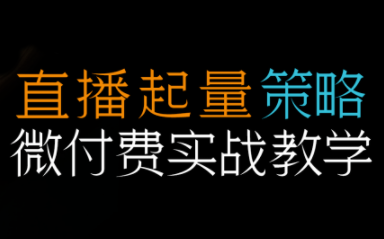 半野老师·直播带货起量与微付费必学课视频号(更新2026)-网创资源