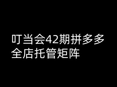 叮当会拼多多打爆班原创高阶技术第42期，拼多多全店托管矩阵-网创资源