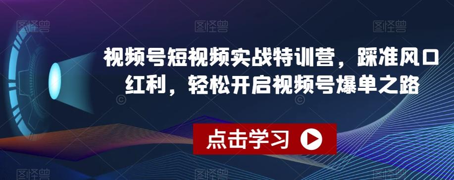 视频号短视频实战特训营，踩准风口红利，轻松开启视频号爆单之路-网创资源