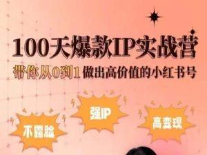 小红书100天爆款IP实战营，带你从0到1做出高价值的小红书号-网创资源