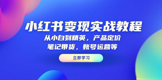 小红书变现实战教程：从小白到精英，产品定价，笔记带货，账号运营等-网创资源